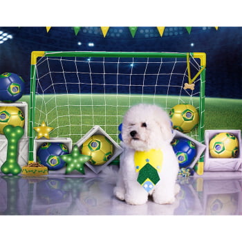 Fundo Fotográfico Futebol Brasil Pet em Tecido PET-81